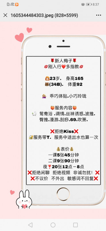 龙华上塘的梅子